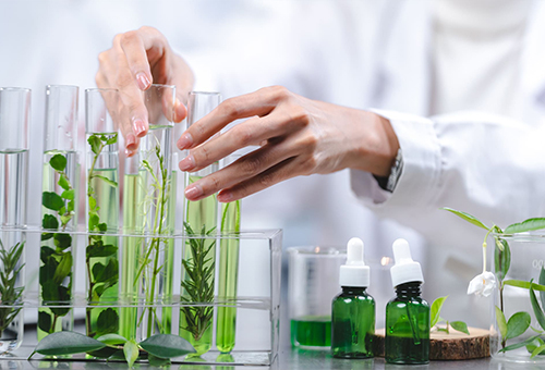 桦樟护肤：揭秘天然植物精华如何科学祛斑，焕发健康透亮美肌！